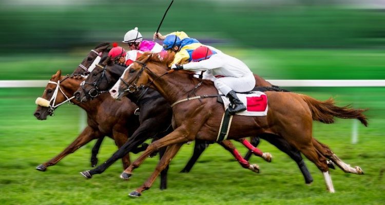 Jockeys reiten auf Pferden